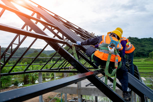 Best Roof Gutter Cleaning  in Bloomingdale, GA
